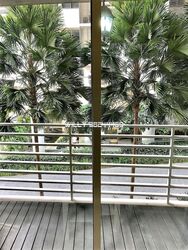 Robertson Edge (D9), Apartment #298262301